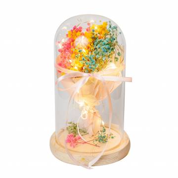Preserved Flowers PF01 (Small)